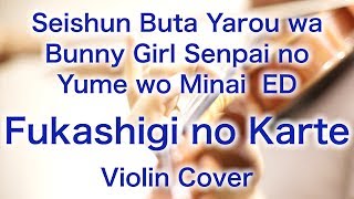 “Fukashigi no Karte” Seishun Buta Yarou wa Bunny Girl Senpai no Yume wo Minai ED Violin Cover [upl. by Bruning]