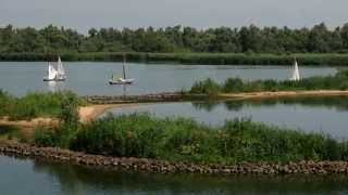 Met een Zilvermeeuw door de Biesbosch [upl. by Assirehc]