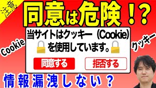 【速攻理解】クッキーCookieへ同意とは何か？裏側まで徹底解説！【個人情報保護法】 [upl. by Burkhard]