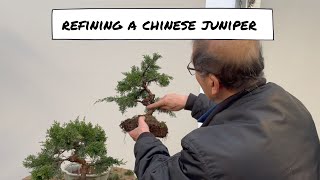 How to Refine a Juniper [upl. by Anawek]