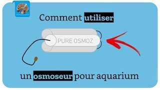 Losmoseur pour aquarium Comment lutiliser [upl. by Ehud581]