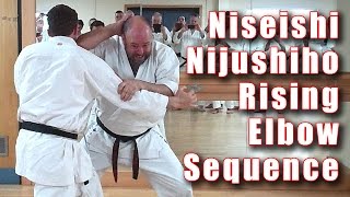 Practical Kata Bunkai Nijushiho  Niseishi Rising Elbow Sequence [upl. by Anrahc935]