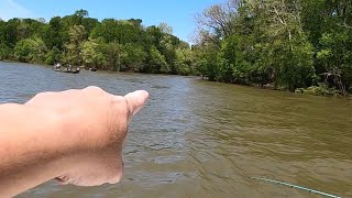 Where to Catch 100 Stripers a Day BUT BE CAREFUL [upl. by Lanita825]