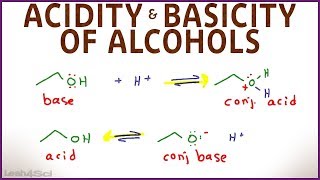 Acidity and Basicity of Alcohols [upl. by Hodess817]