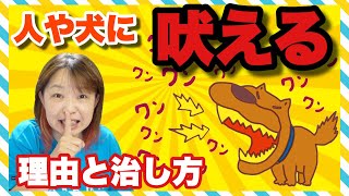 他の人や犬に吠えるのをどうにかしつけたいっ！犬が吠える理由と治すためのリハビリ方法 [upl. by Etteroma]