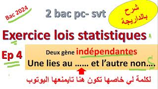 lois statistiques dihybridisme  indépendante une autosomale et lautre portée par chromosome X [upl. by Stanislas]