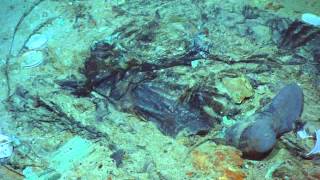 2022 TITANIC  Human remains at Titanic shipwreck site [upl. by Annmaria]