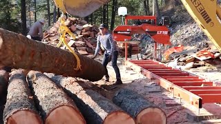 Building a House Start to Finish Sawmilling a Timber Frame by Themselves [upl. by Tollmann631]