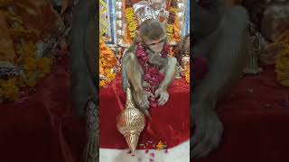 Lagan tumse Laga baithe jo hoga dekha jayegabhakti songsort youtubeshorts reel video vairal [upl. by Rene748]