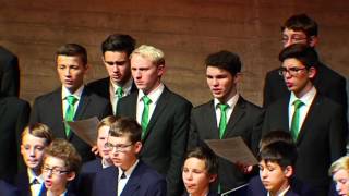 Adeste fideles  Regensburger Domspatzen 2015 [upl. by Yadroc]