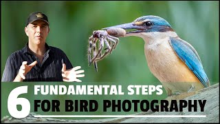 SIX FUNDAMENTAL steps to take HIGH QUALITY bird photographs [upl. by Irolav666]