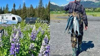 Fishing Trip to Seward amp Exploring Historic Hope Alaska [upl. by Marko409]