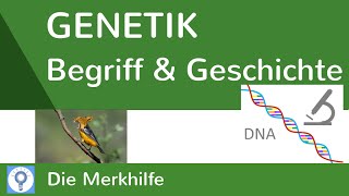 Was ist Genetik amp Geschichte der Genetik und Genetik heute  Genetik [upl. by Odysseus788]