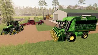 Buying cotton farm with harvester and tractors  Suits to boots 14  Farming Simulator 19 [upl. by Aihsyt]