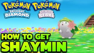 EVENT OVER How to Get Shaymin in Pokémon Brilliant Diamond amp Shining Pearl [upl. by Llednik743]