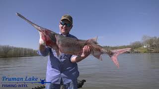 Cody Vannattan Spoonbill Snagging on Lake of the Ozarks [upl. by Odlanyar]