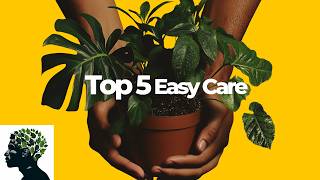 5 Houseplants for Beginners  Plants for Every Lifestyle [upl. by Spracklen420]