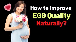 10 Ways to Improve Egg Quality in Women Naturally  VisitJoy [upl. by Lhamaj]