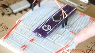 1 How to Program and Develop with ARM Microcontrollers  A Tutorial Introduction [upl. by Haletta880]