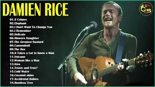 Damien Rice Greatest Hits  Best Of Damien Rice [upl. by Nilsoj510]