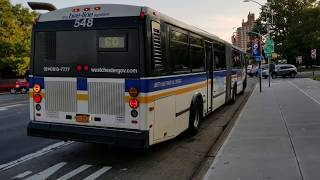 BeeLine Bus Neoplan AN460 amp Orion V Route 60 61 amp 62 Buses  Boston Road amp Pelham Parkway [upl. by Quennie]