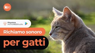 Suoni per Gatti  Richiamo per Gatto [upl. by Arema]