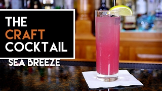 ⛵ How To Make The Sea Breeze  Easy Vodka Cocktail Series 1 [upl. by Atter]