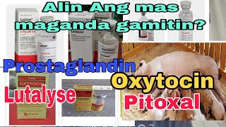 Anu ang pagkakaiba ng Lutalyse at Pitoxal  Alin ang mas magandang gamitin [upl. by Aekan]