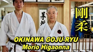 An incredible Karate Master in Okinawa Morio Higaonna [upl. by Angell]