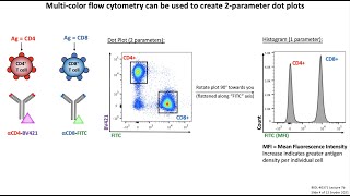 Lecture 7b Flow Cytometry [upl. by Harihs550]