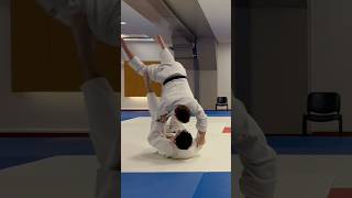 Light judo sparring [upl. by Segalman]