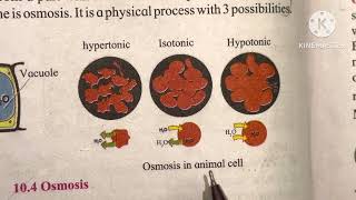 Cell Organelles Class 08  Maharashtra Board  Biology  Science [upl. by Eiuqnom]