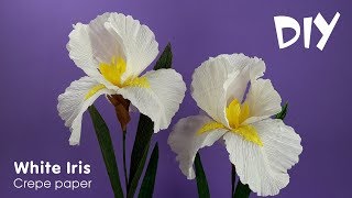 How to make crepe paper flowers  Crepe paper IRIS  DIY Craft tutorials [upl. by Gaskin551]