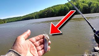 BANK FISHING Trick to finding fish Catch more fish from shore catfish bass carp [upl. by Rammus]