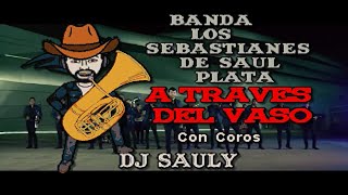 Banda Los Sebastianes De Saul Plata  A Traves Del Vaso Karaoke Con Coros [upl. by Boarer738]