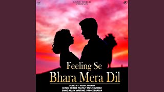 Feeling Se Bhara Mera Dil [upl. by Gathard]