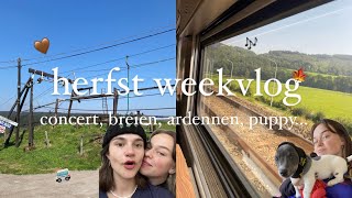 WEEKVLOG kamperen breien muziekschool puppy [upl. by Llennol]