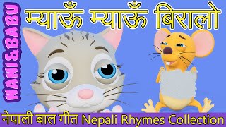 Meow Meow Biralo  Myau Myau Biralo  Nepali Rhymes Collection  लोक प्रिय नेपाली बाल गीत [upl. by Natika]