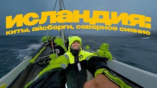 VLOG 3 – ИСЛАНДИЯ  Киты Водопады Северное Сияние [upl. by Yraht266]