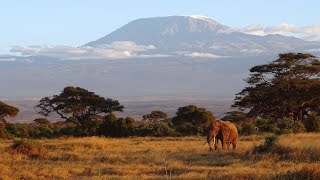 Safari in Amboseli Kenya 2018 [upl. by Rehtnug]