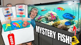 250 SEA CREATURE Mystery FISH BOX For My SALTWATER AQUARIUM shopping spree [upl. by Ahsinahs]