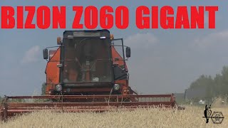 Bizon Z060 GIGANT [upl. by Ailic601]