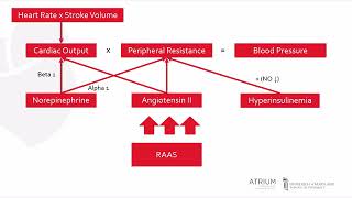 A Focus Series on Hypertension Pathophysiology [upl. by Ainnat]