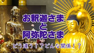 お釈迦さまと阿弥陀さまってどう違う？どんな関係？ 今さら聞けない仏教用語シリーズ～浄土真宗の立場から～ [upl. by Steffane]