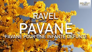 Ravel Pavane [upl. by Lamrert]