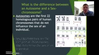 Autosomes V Sex Chromosomes  Mr H [upl. by Bourque]