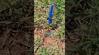 How to Test for Soil Compaction at Home for Free [upl. by Edie940]