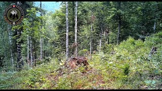 NP Muránska planina  Slovenské rudohorie [upl. by Haraz]