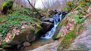 Rockbound Serenity A Hidden Creek Waterfall in the Heart of the Forest 🌿🌊🪨 [upl. by Ullman810]