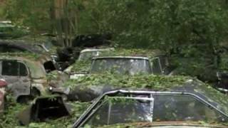 URBEX The Messerli car graveyard [upl. by Nappie]